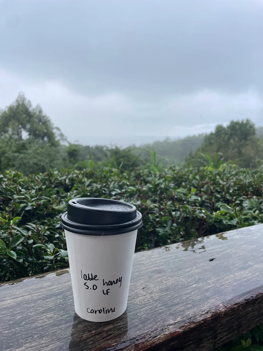 Highlights, Rue Bourbon Coffee