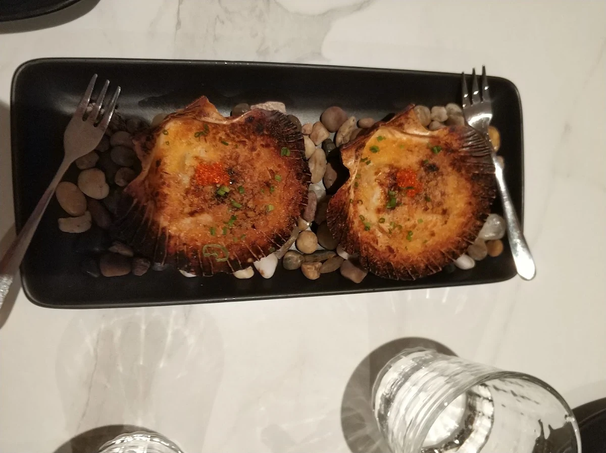 Scallops, Ocha