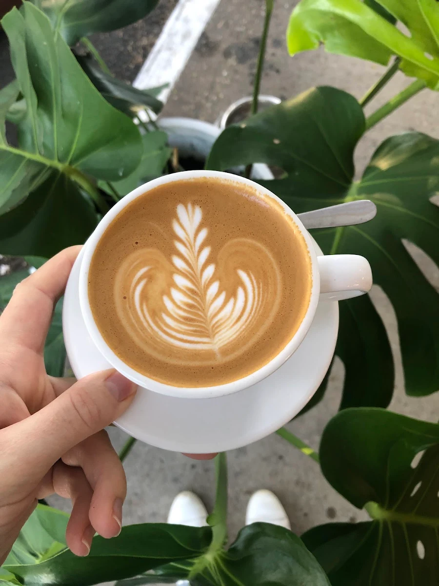 Highlights, The Grove Coffee and Eats