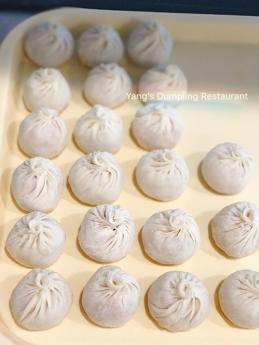Highlights, Yang's Dumpling