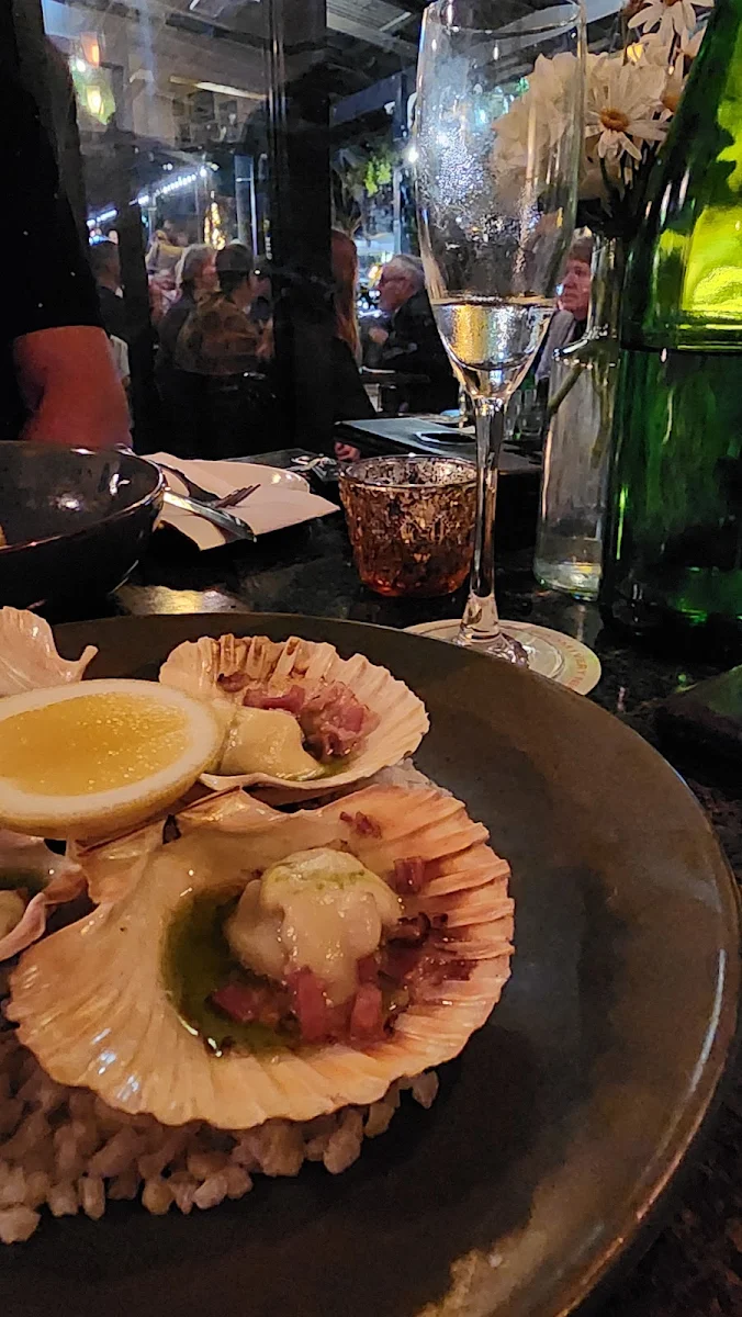 Scallops, The Spare Room