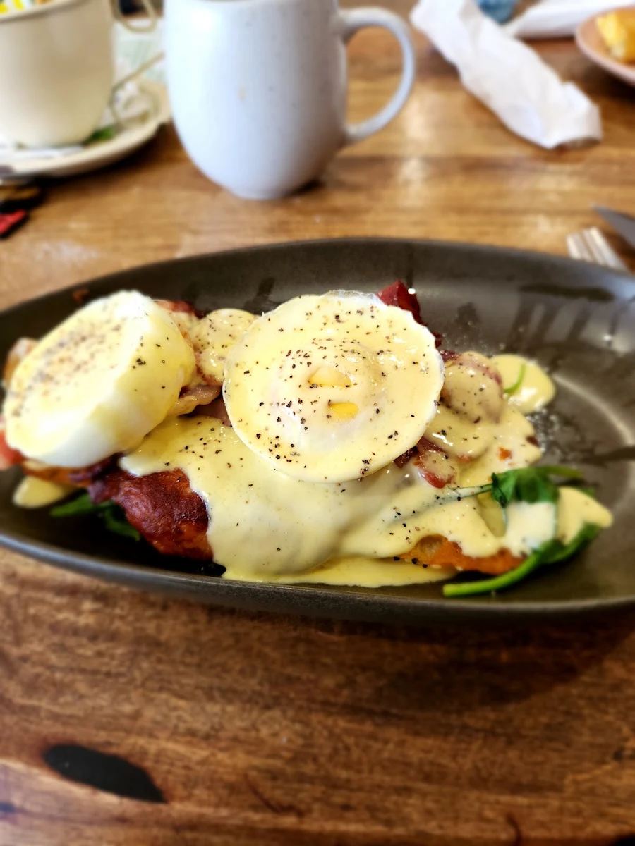 Highlights, Lisa's Willow Tree Cafe