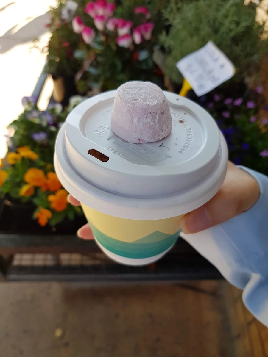Hot Chocolate, Waterfall Gully Cafe and Nursery