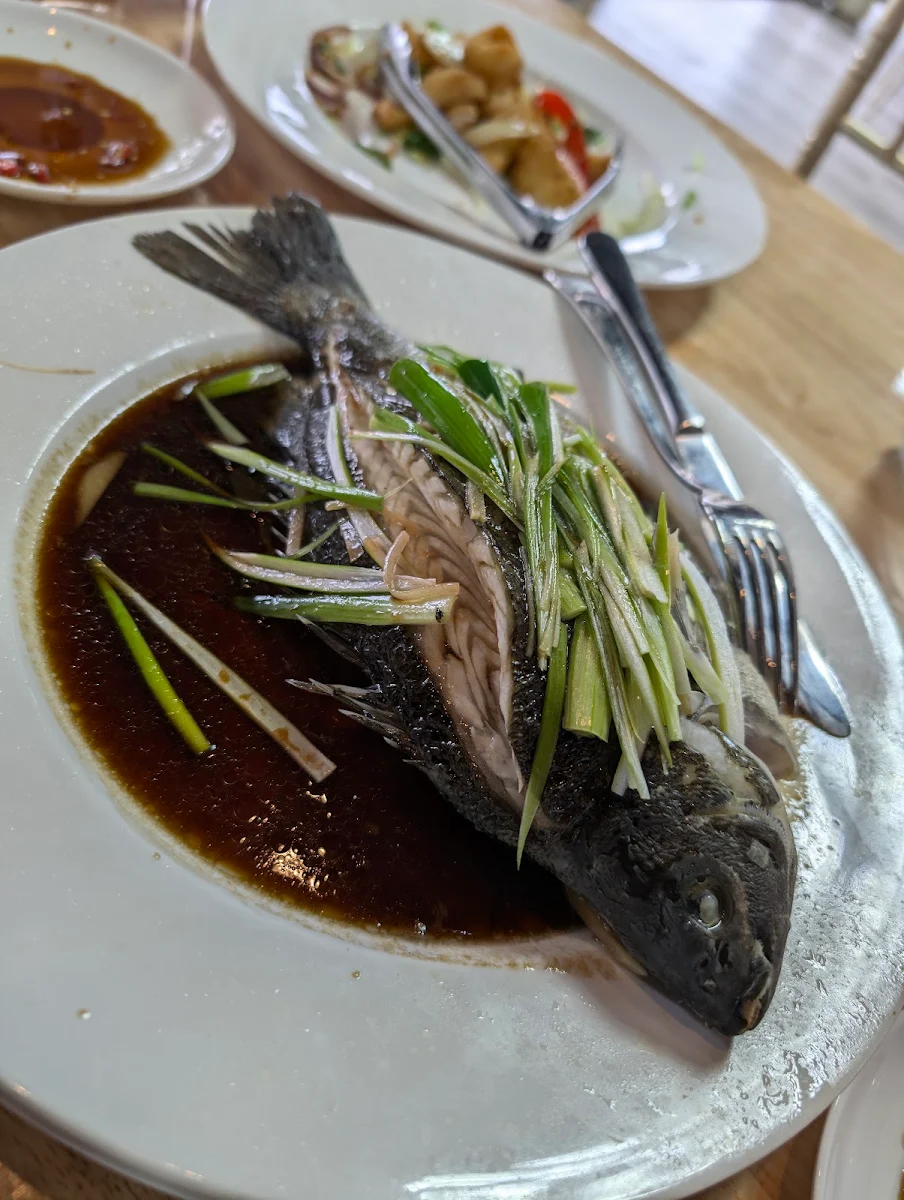 Steamed Fish, Viet Yummy Inala