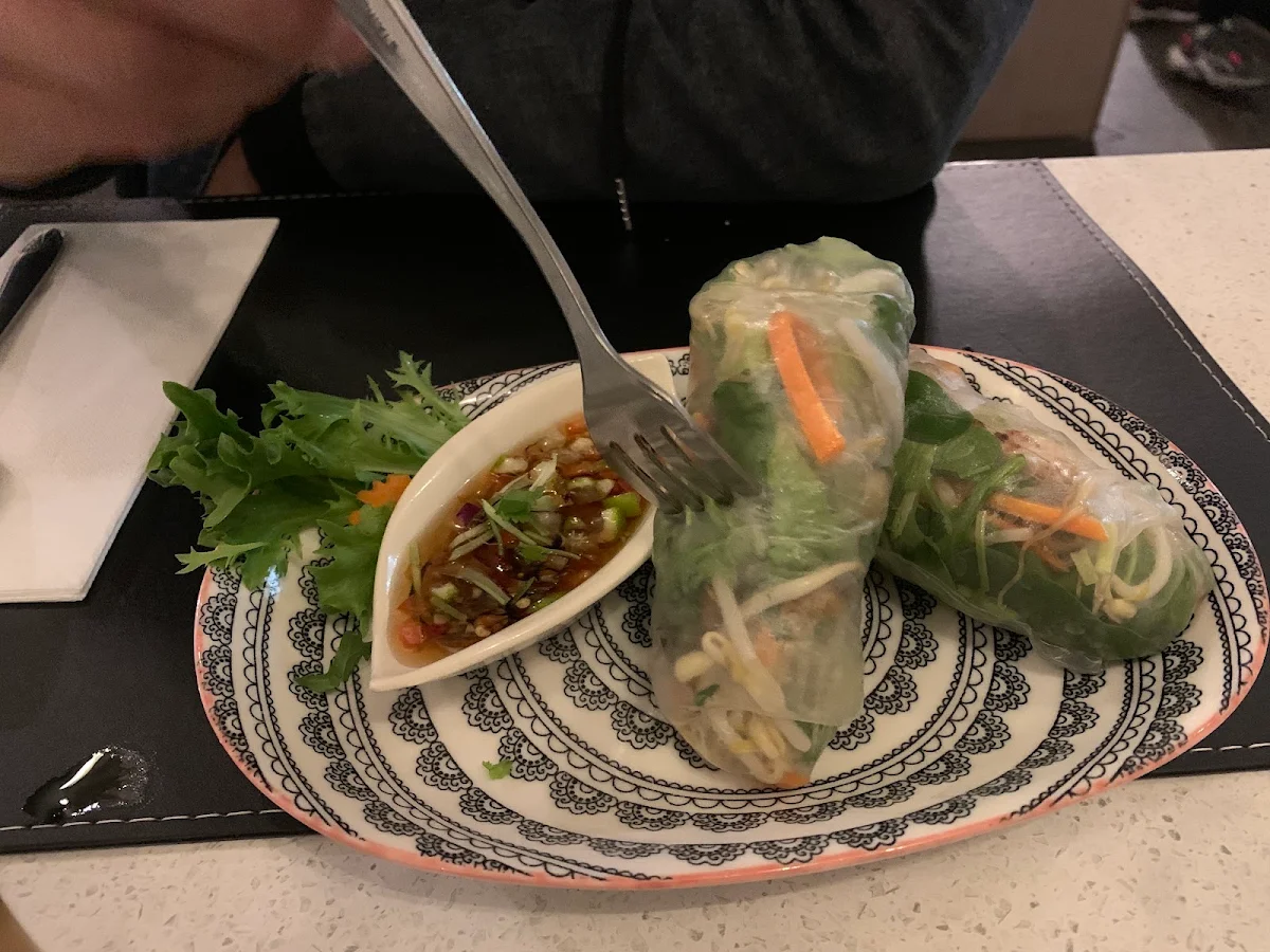 Spring Rolls, Toong Thong Thai Restaurant