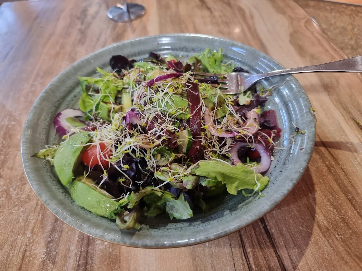 Garden Salad