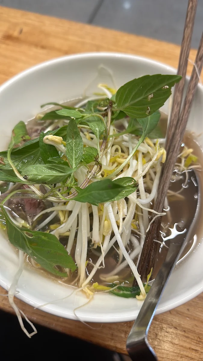 Highlights, PHO THIN DONCASTER