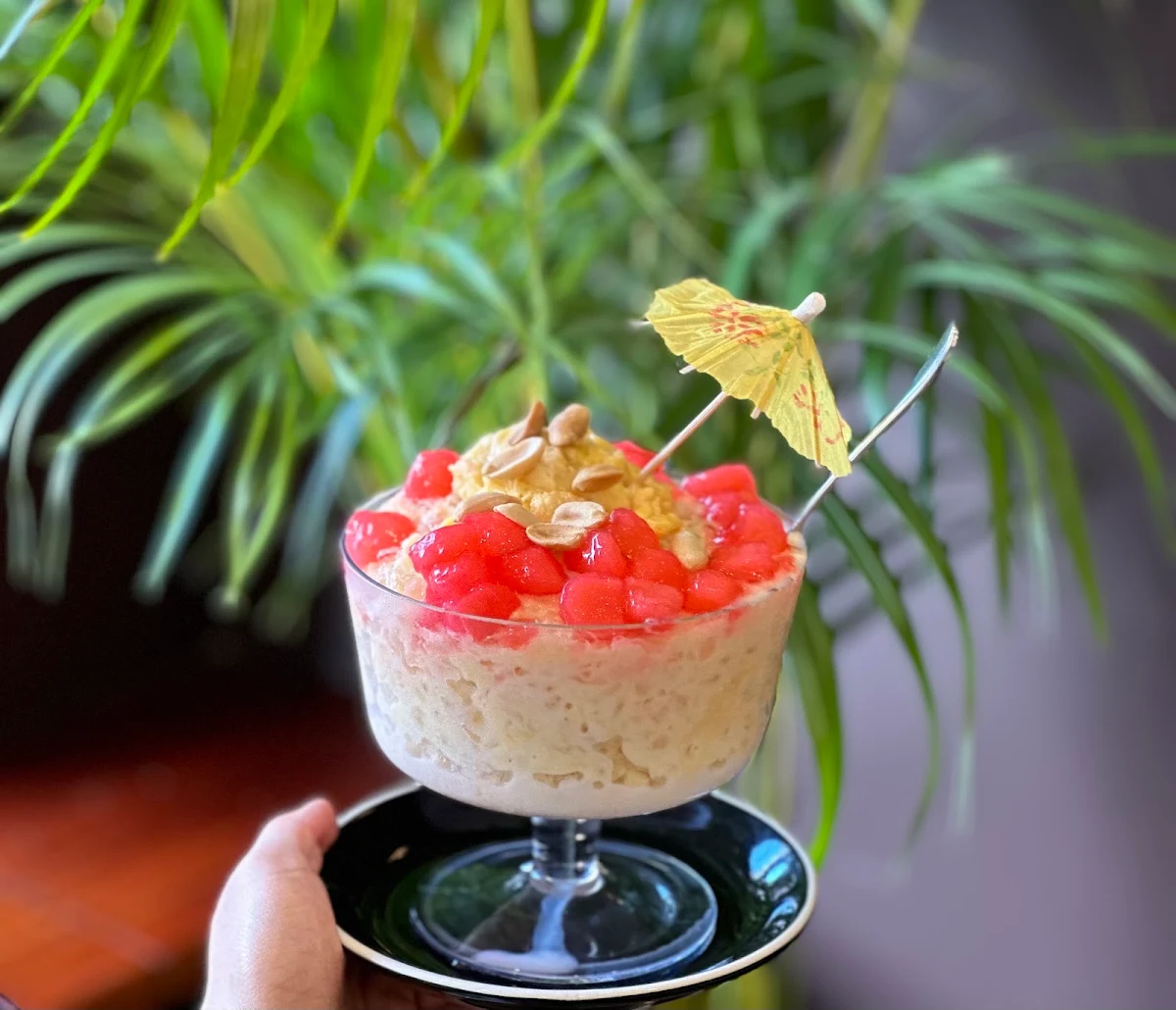 Highlights, Cafe Thanh Xuan