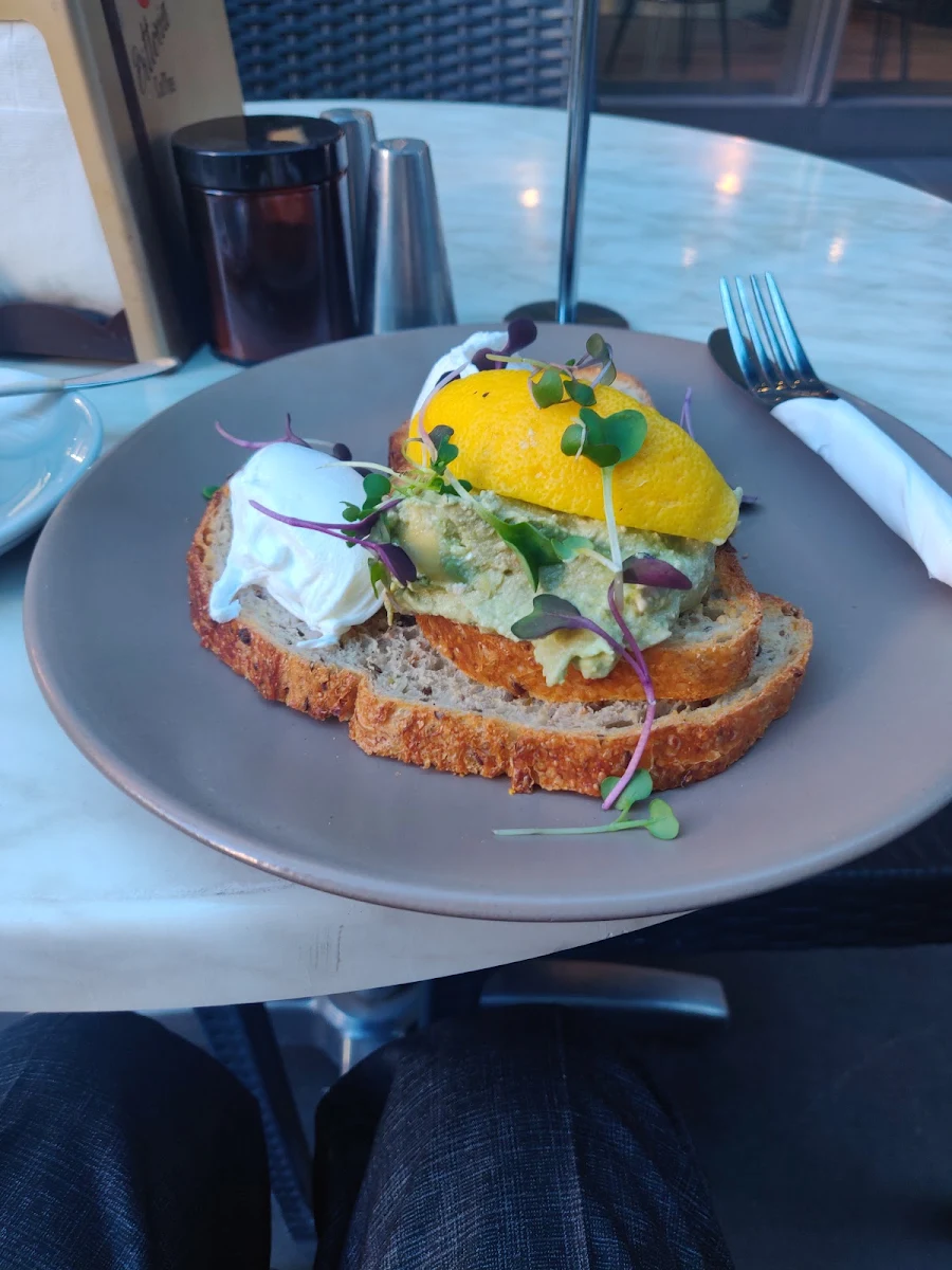 Poached Eggs on Bread