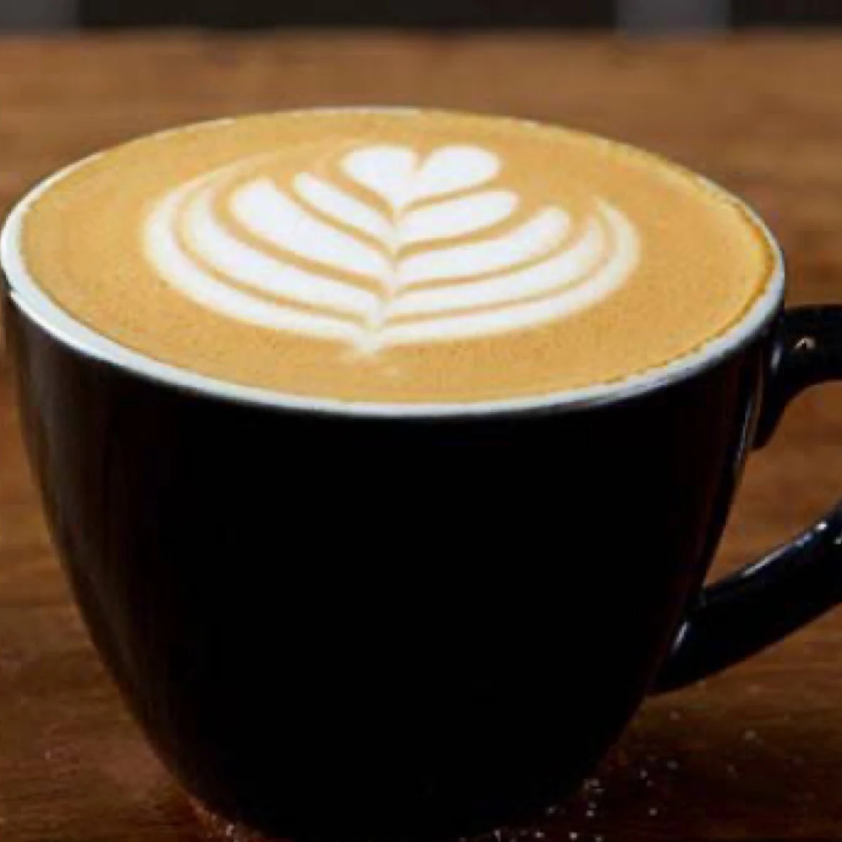 Highlights, Bullcom Pty Limited Trading As BBF Cafe