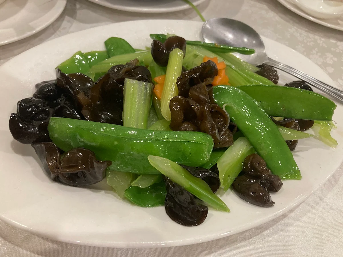 Stir Fry Wood Mushrooms Celery & Snowpeas