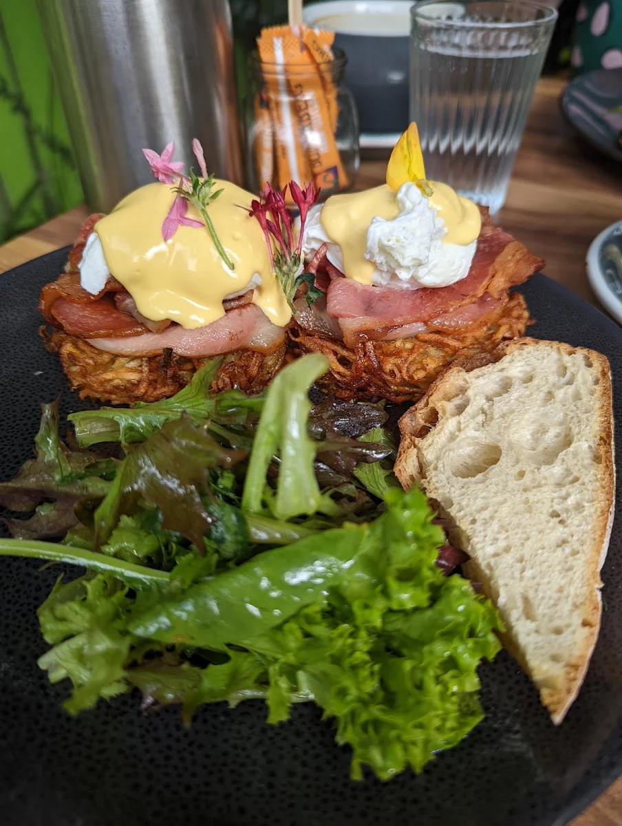 Hash Stack, Snag & Brown