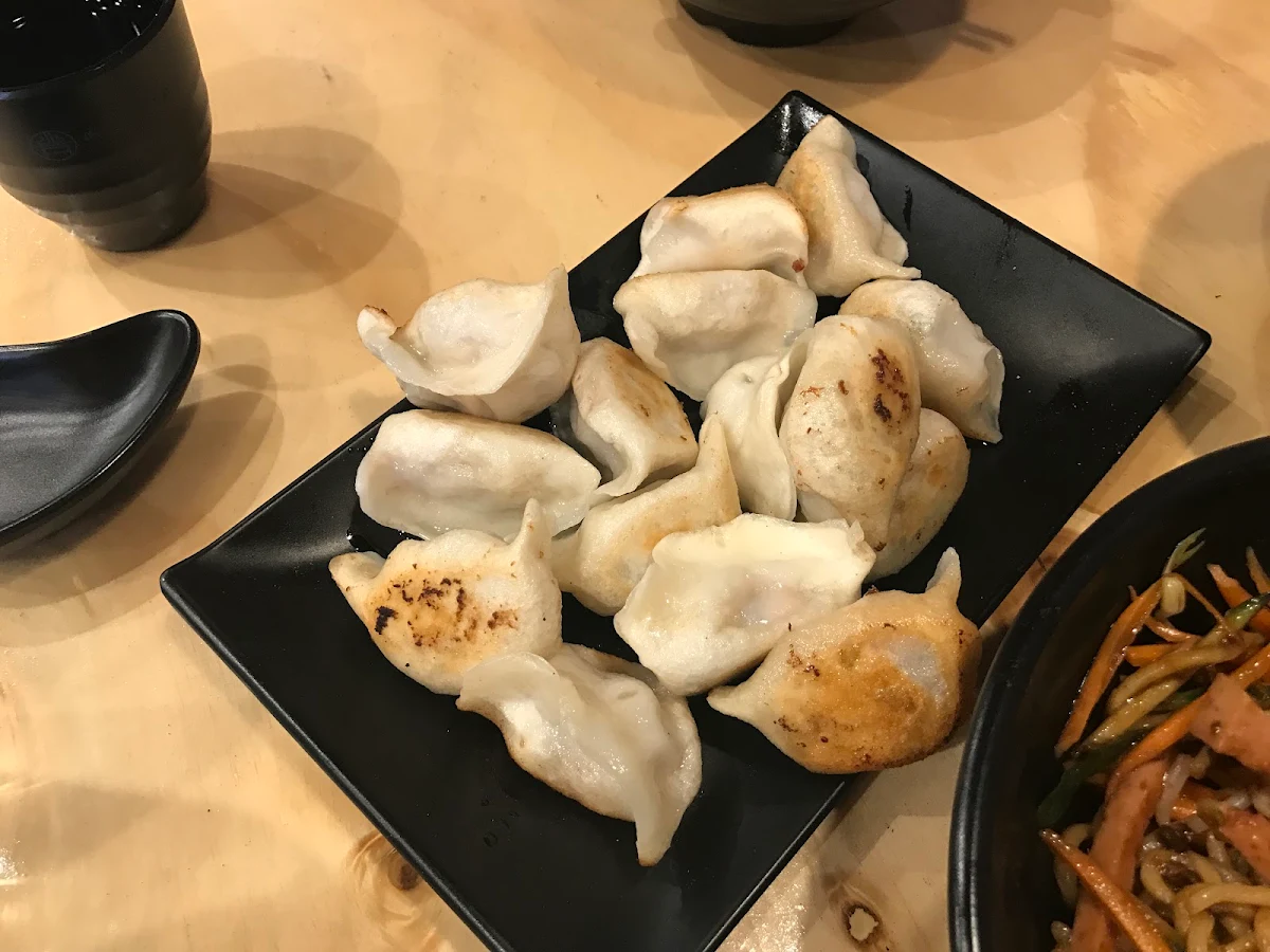 Pork Pan Fried Dumplings