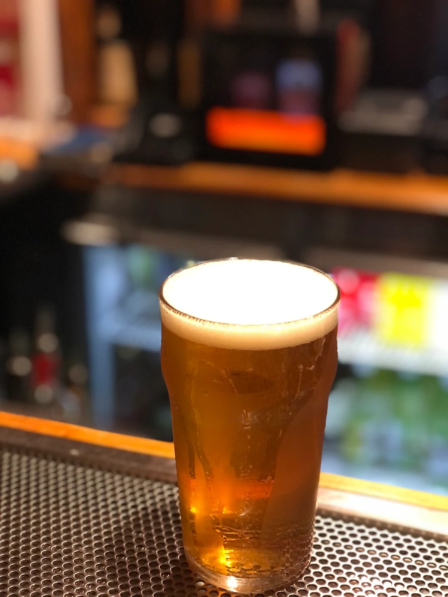 IPA, Irish Murphy's Hobart