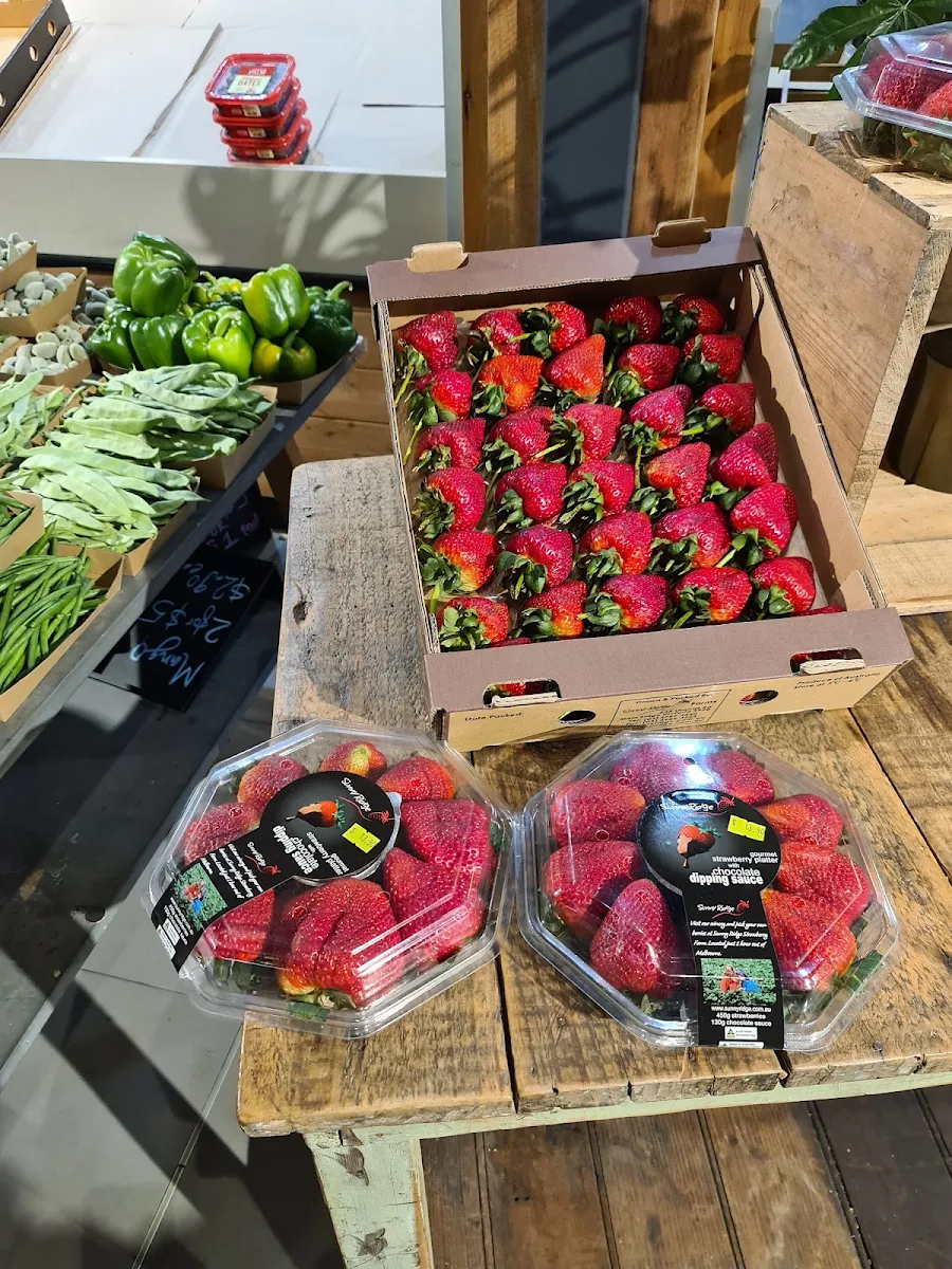 Strawberry, Pier 8 Cafe