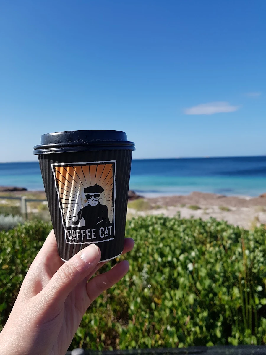 Great Coffee, Coffee Cat