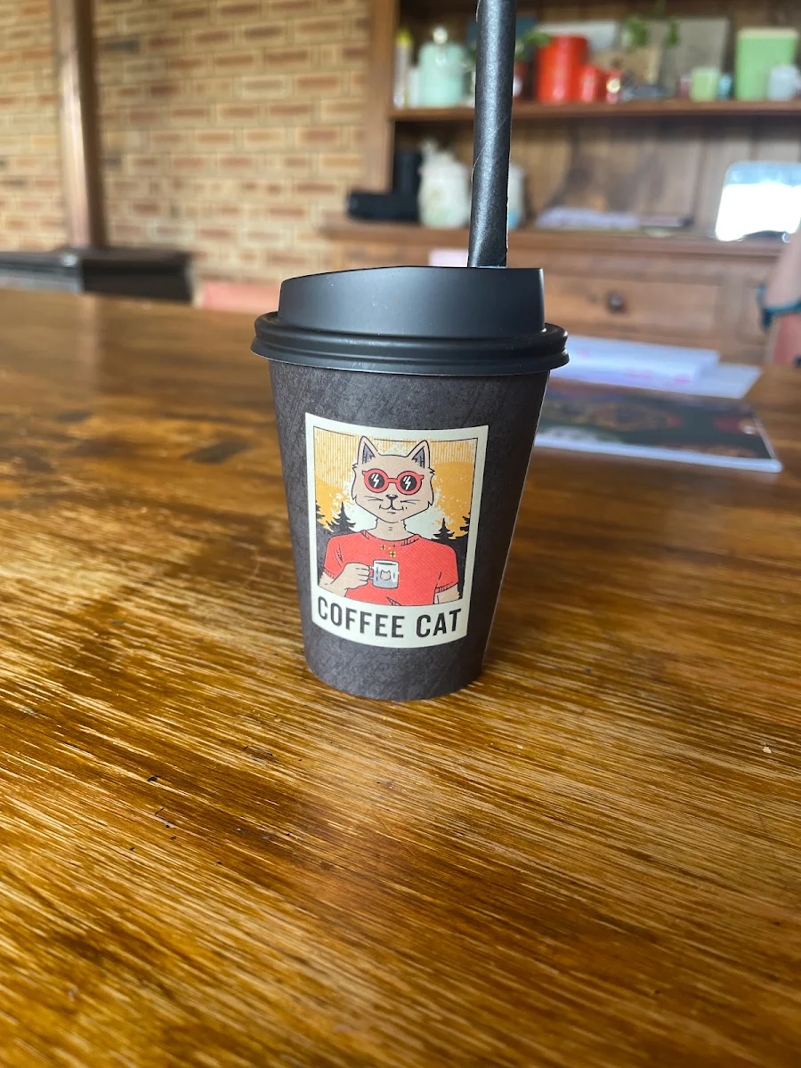 Highlights, Coffee Cat