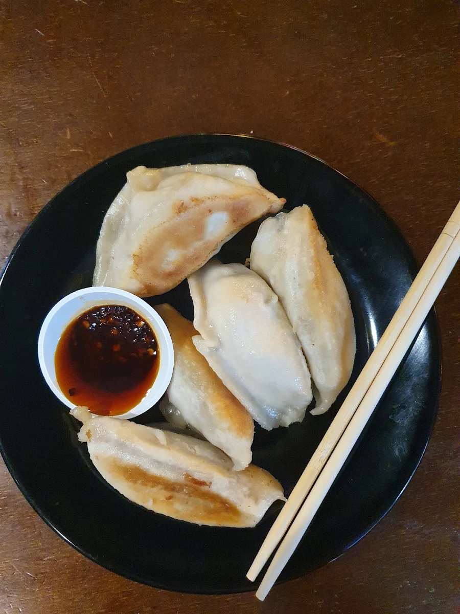 Pan Fried Pork Dumplings