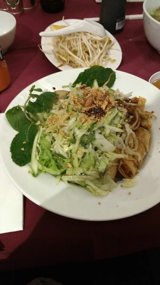 Highlights, Le Hoang Mount Eliza