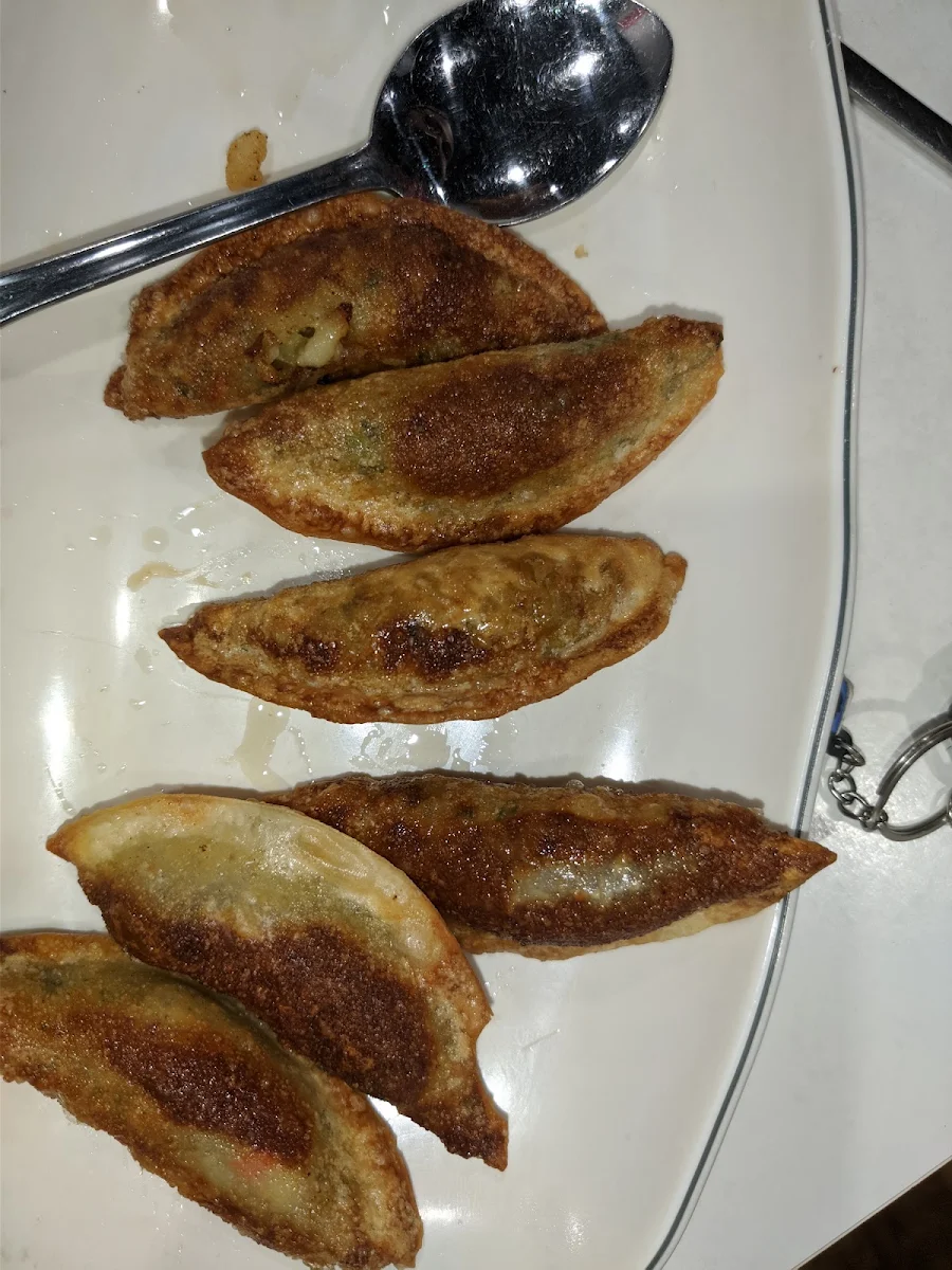 Deep Fried Dumpling