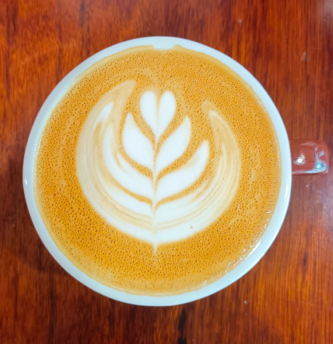 Magic, Best Wishes Coffee