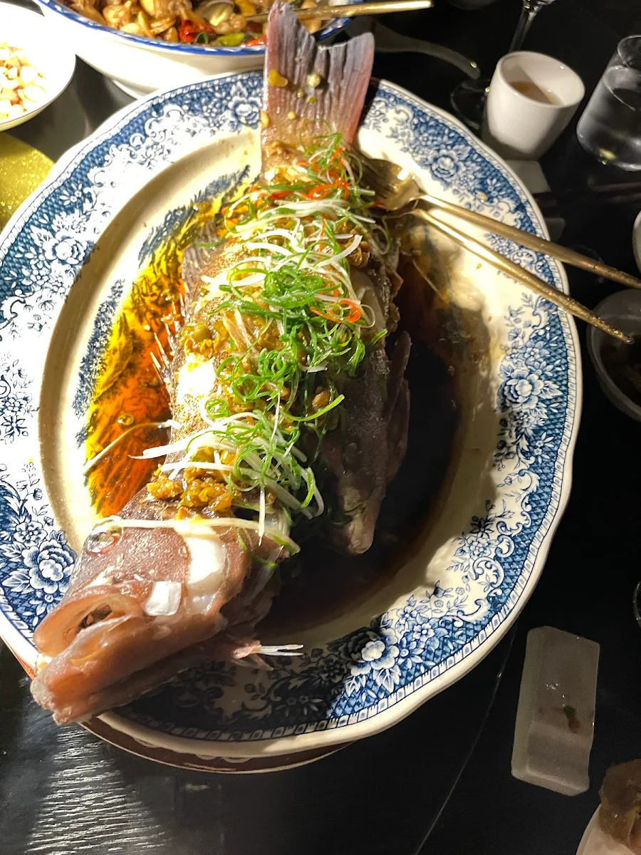 Steam Fish, The Chairman Restaurant | 湖南人湘菜馆