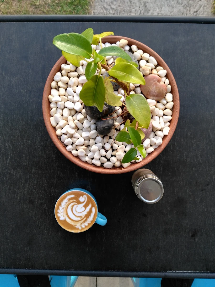 Highlights, The Pallet Espresso Bar
