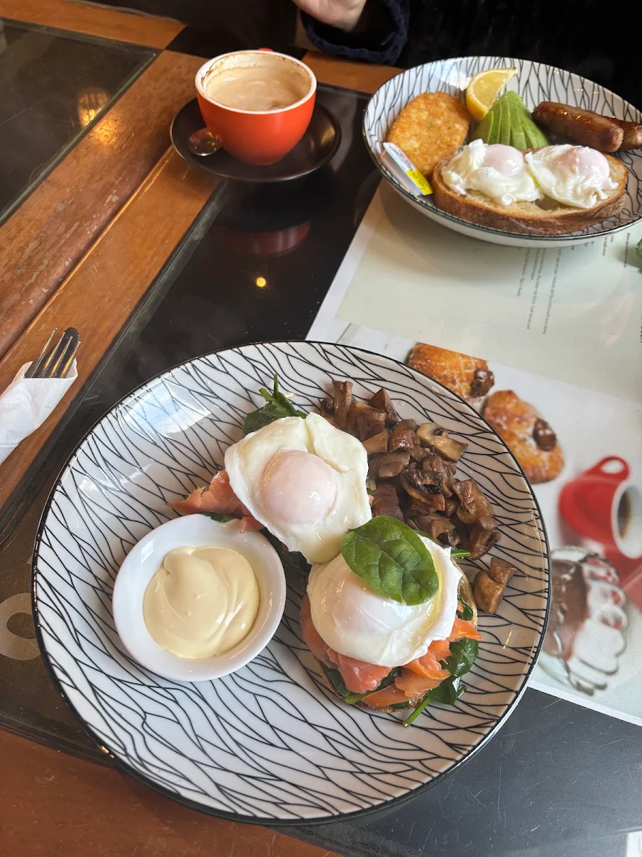 Eggs Atlantic Salmon, Bella Cosi