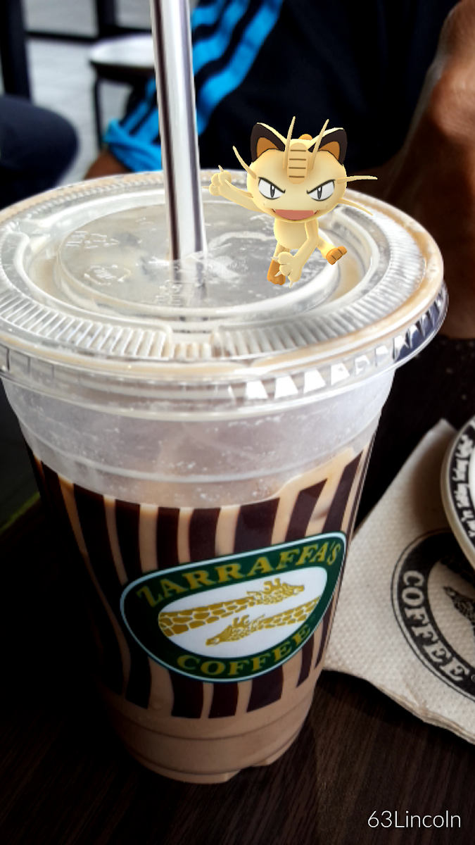 Highlights, ZARRAFFA'S COFFEE Boondall