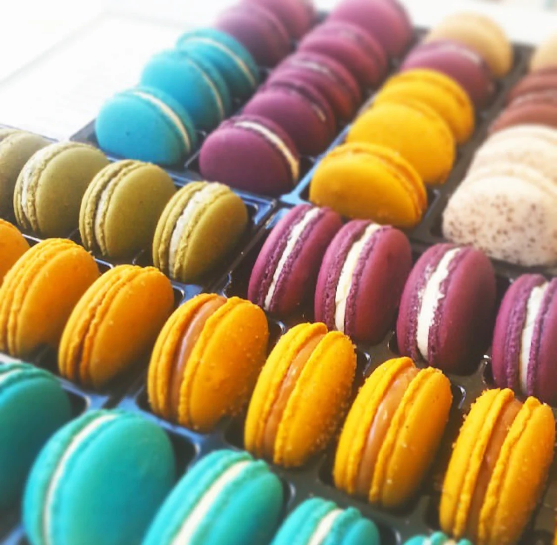 Assorted Macaroons, Sweet & Bitter Co.
