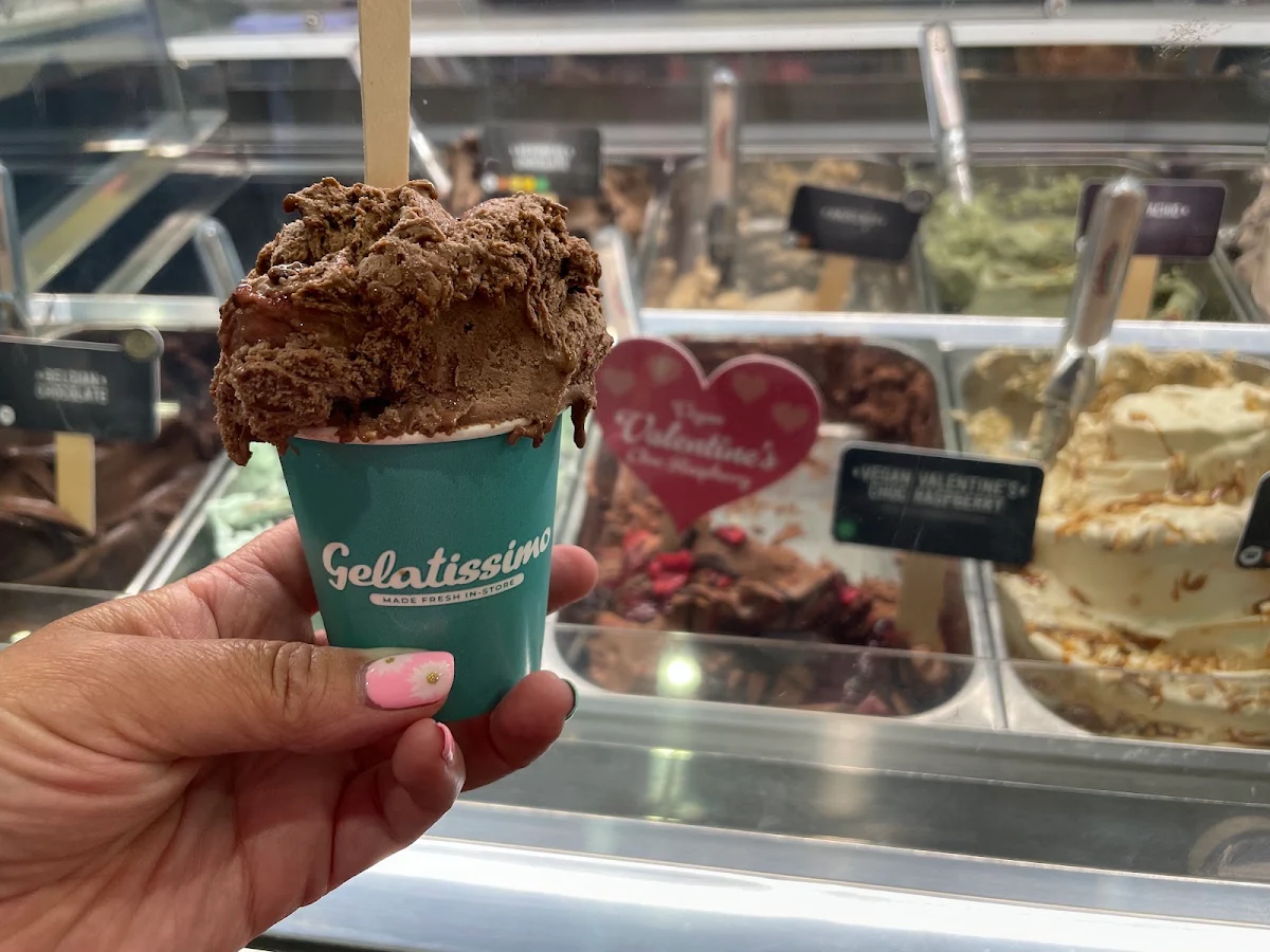 Vegan Chocolate and Raspberry Ice Cream