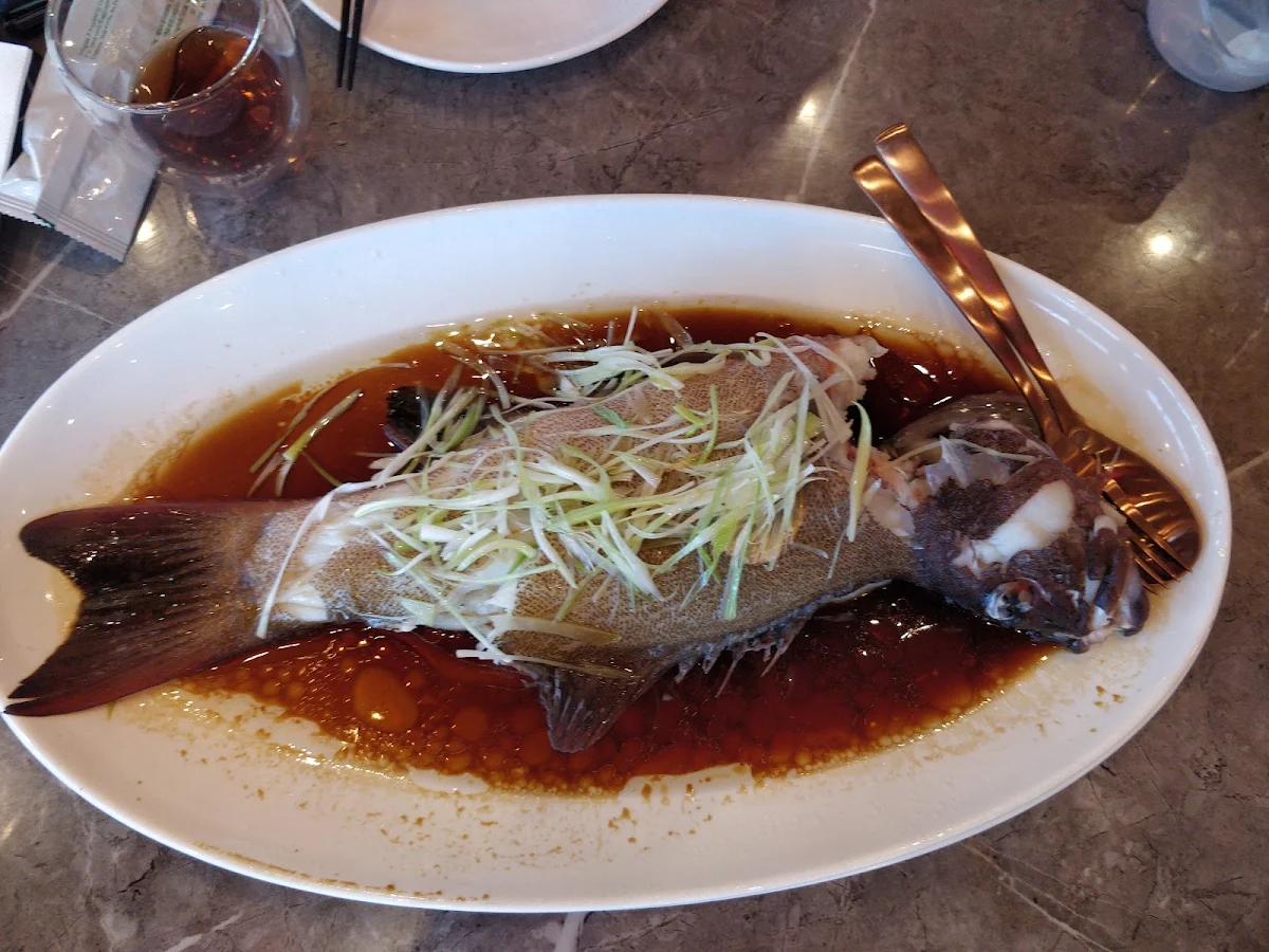 Whole Steamed Fish, Yum Cha Gallery