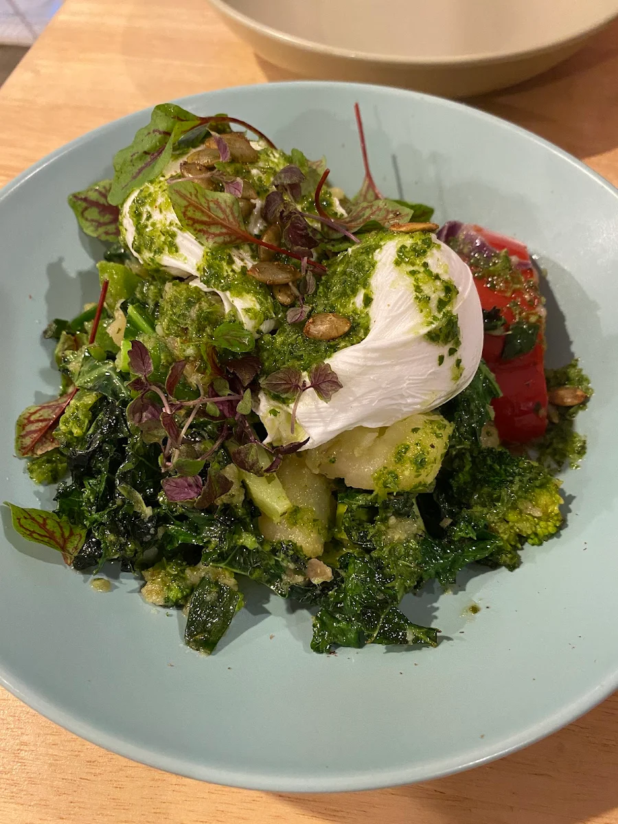 Winter Hash, Bloom PMQ