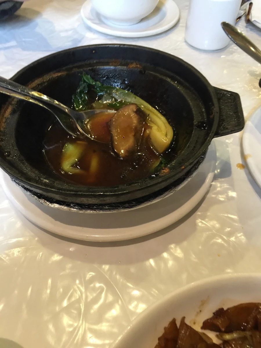 Sea Cucumber & Mushroom in Clay Pot