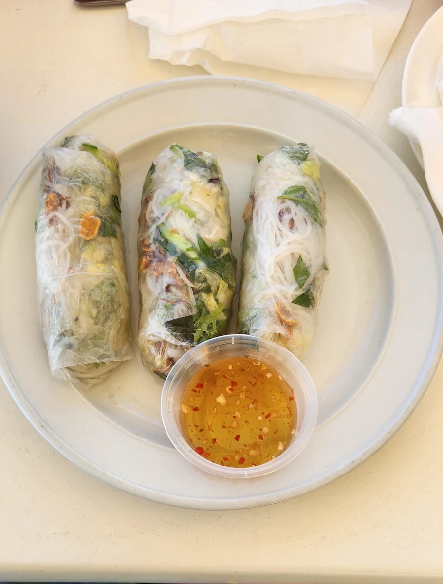 Vegetarian Rice Paper Rolls