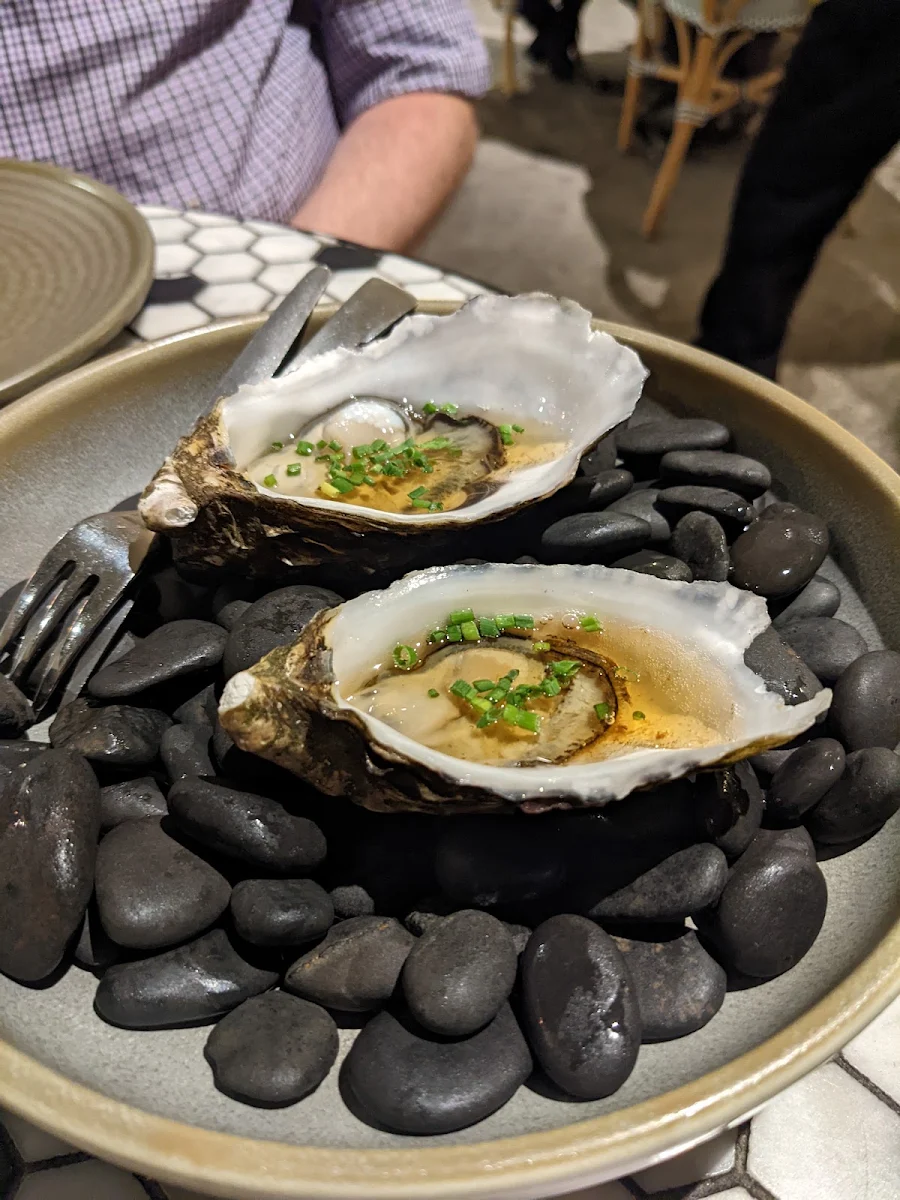 Sydney Rock Oyster