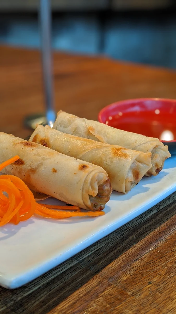 Spring Roll, Noodle and Dumpling