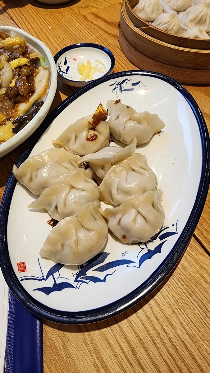 Fried Dumplings