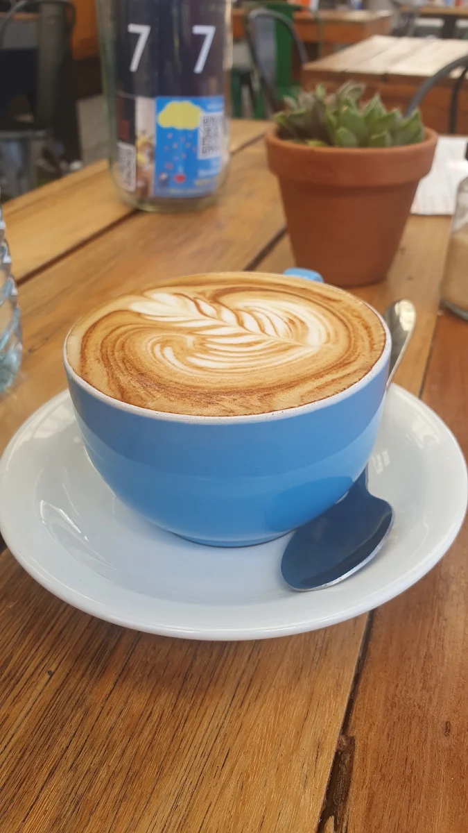 Highlights, Moon Rabbit Cafe