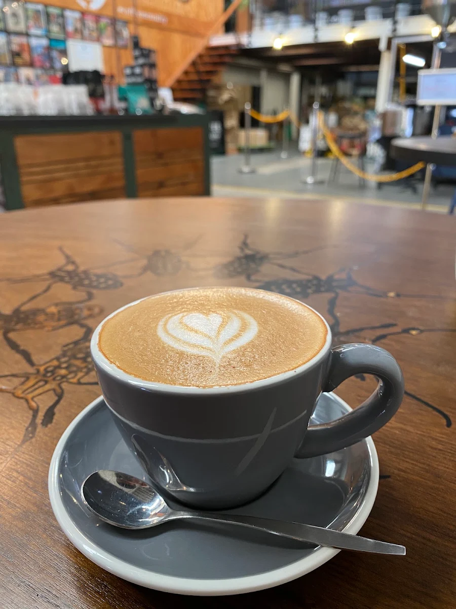 Highlights, Coffee Mentality Roastery - Woolloongabba