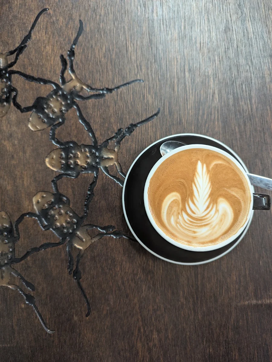 Highlights, Coffee Mentality Roastery - Woolloongabba