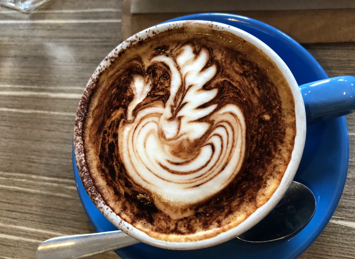 Highlights, SPILL THE BEANS CAFE