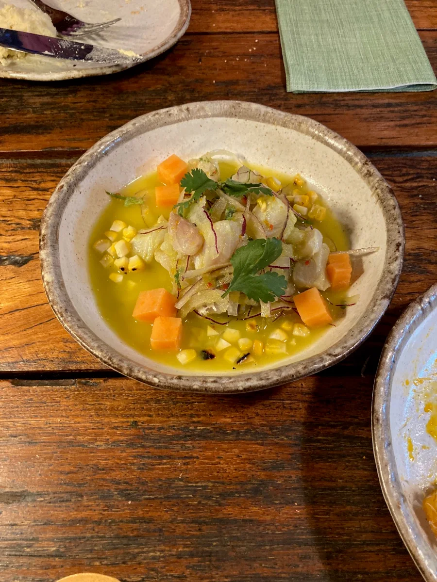 Ceviche, Estancia Adina Italian cuisine