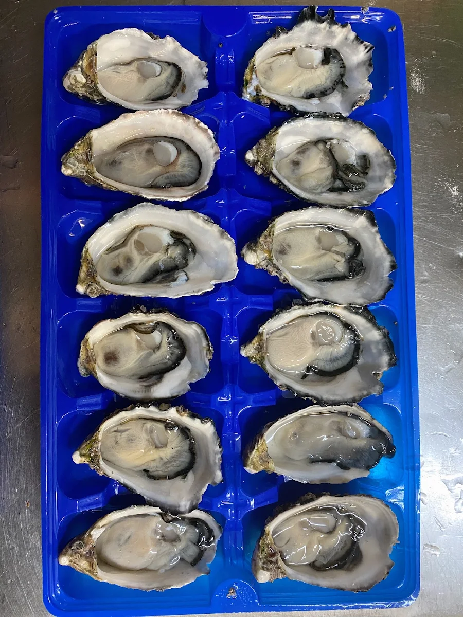 Oyster, Lucky Catch