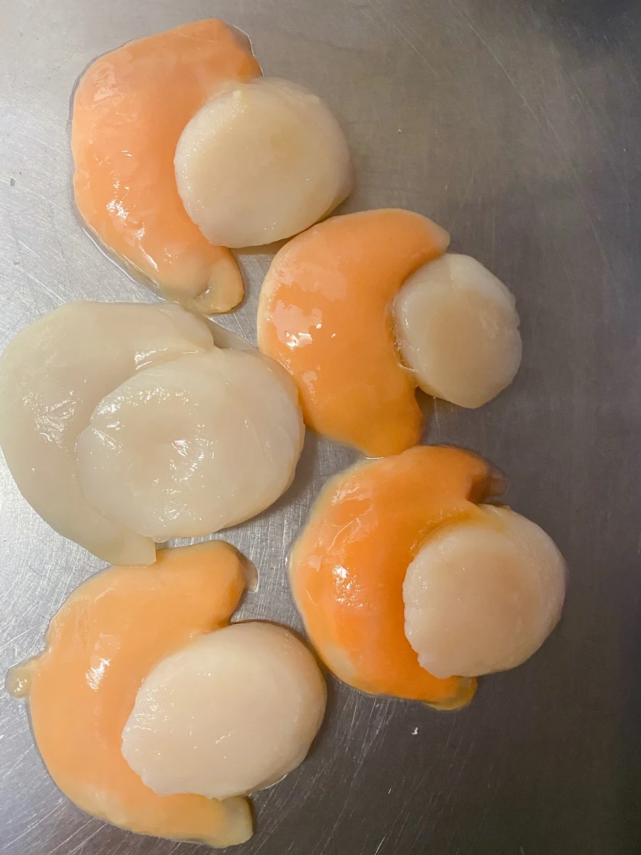 Scallop, Lucky Catch