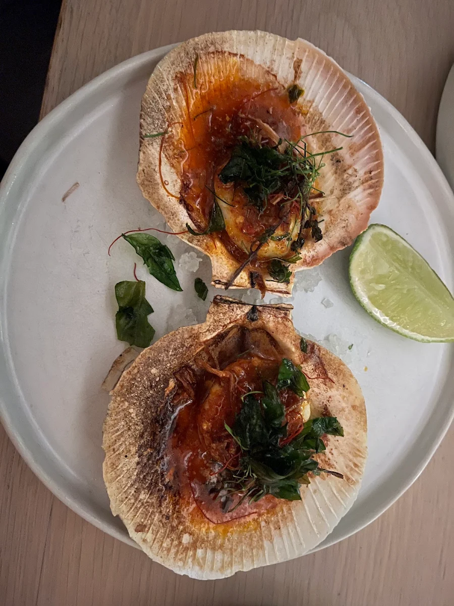 Scallop, sAme sAme Brisbane