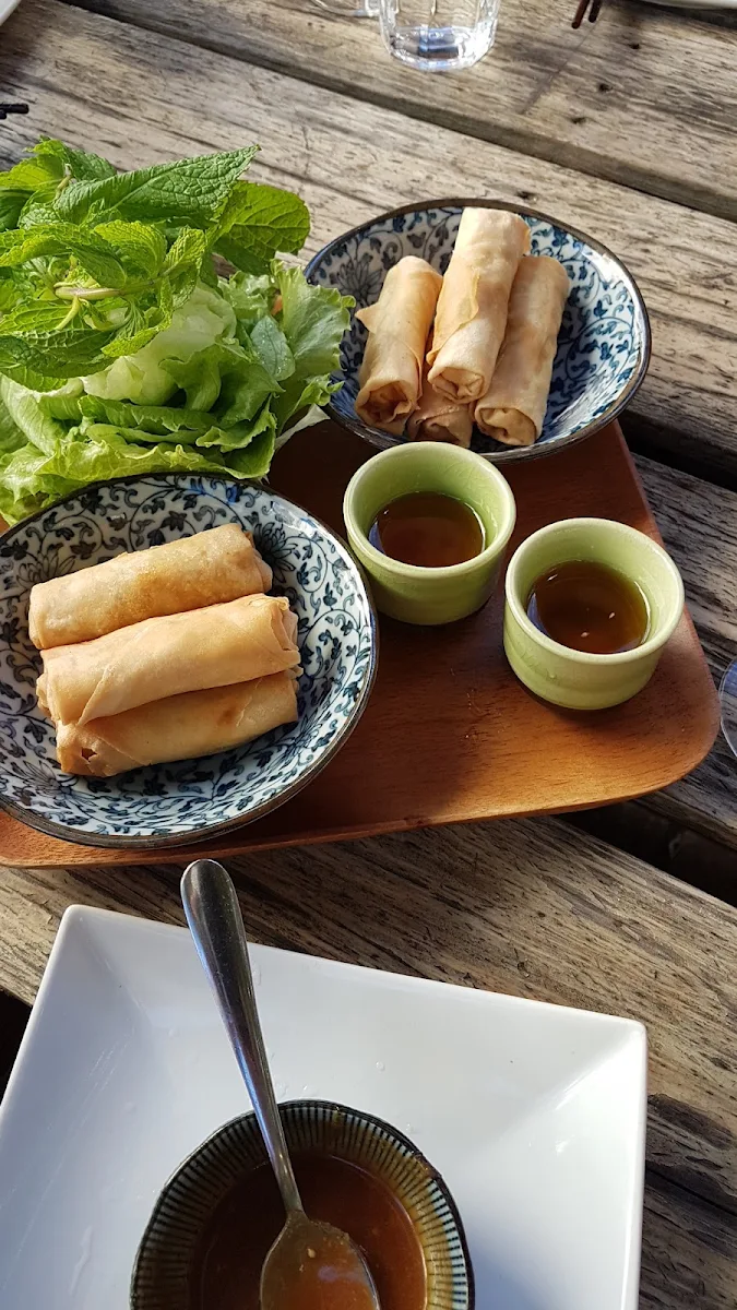 Spring Rolls, So Pho So Good