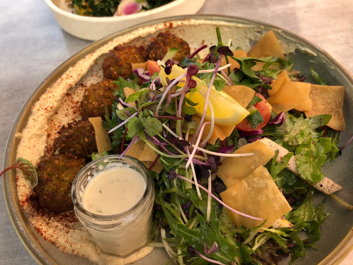 Falafel Salad Bowl