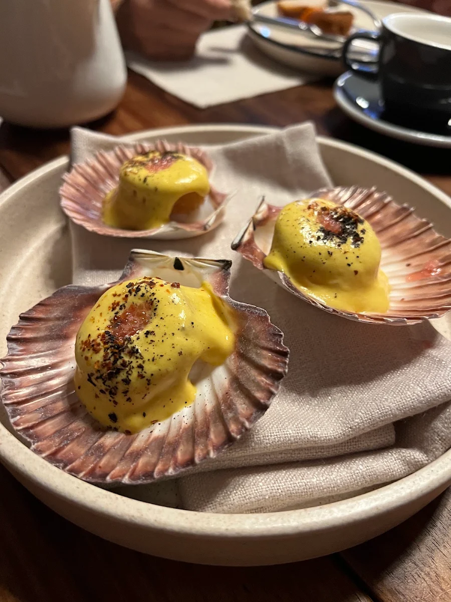 Scallops