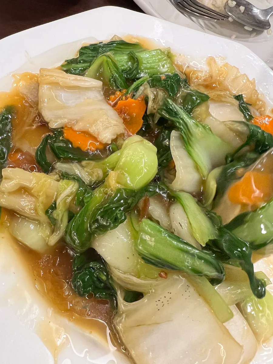 Stir Fried Mixed Vegetables in Garlic Sauce